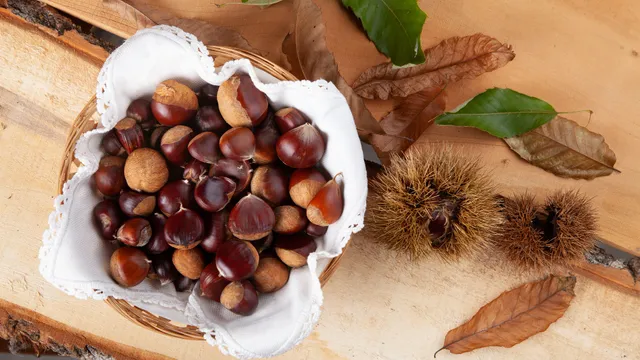 Con le castagne crei un fantastico digestivo per l’autunno 2023: il Castagnino, ottimo da bere ma anche da regalare